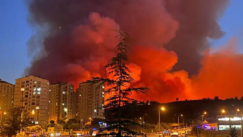 Bursa'da Yangınlar Şehri Tehdit Ediyor: Neler Yaşanıyor?