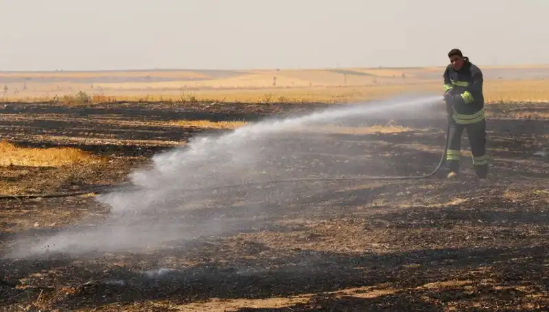 Eskişehir'de Bir Trafo Yangını: Tarım Arazileri Küle Döndü!