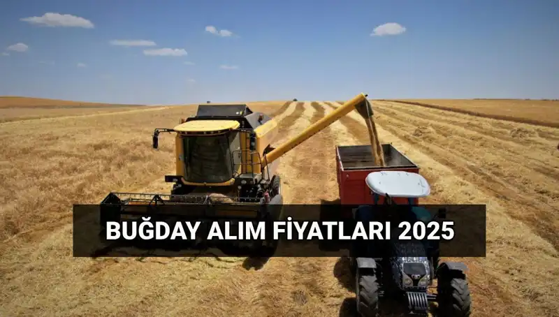 Hububat Alım Ücretleri ve 2025 Fiyatları: TMO Açıklamada Bulundu