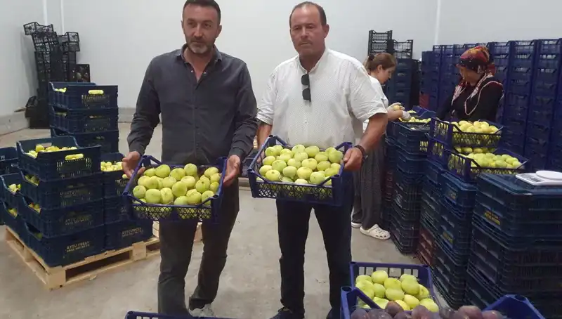 Mersinli Çiftçilerin Yüzü Güldü: 20 TL’den İhraç Edilen Ürünler!