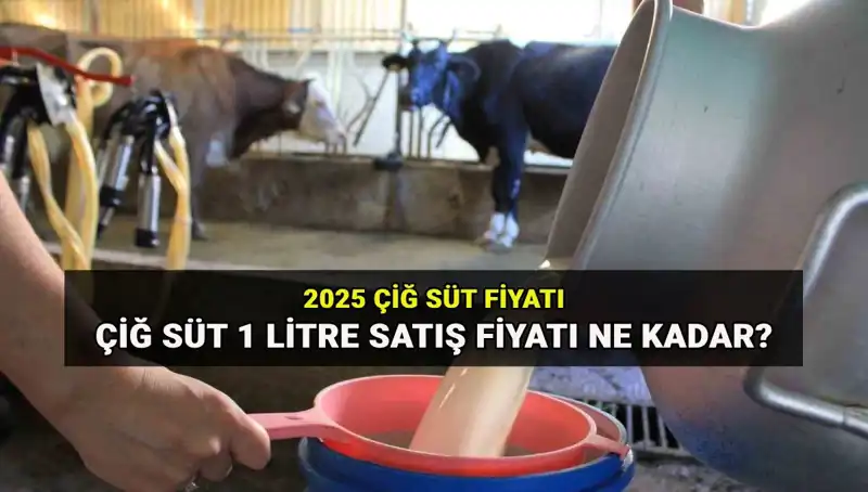 Çiğ Süt Fiyatları 2025: Ulusal Süt Konseyi'nin Beklentileri ve Güncel Gelişmeler
