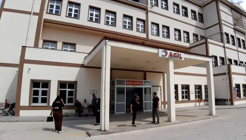 Bolu’da Ayı Avı Tartışmaları: Doğa Koruma ile İnsan İhtiyaçları Arasında Kalan Denge