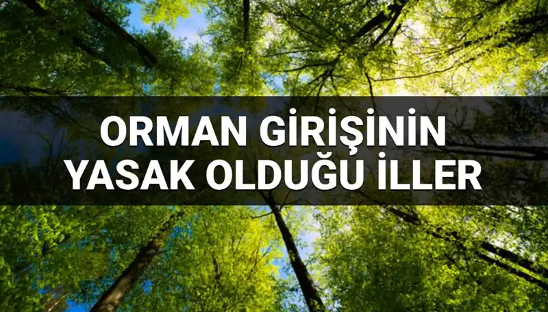 2025 Yılında Ormana Girişi Yasaklanan İller Açıklandı!