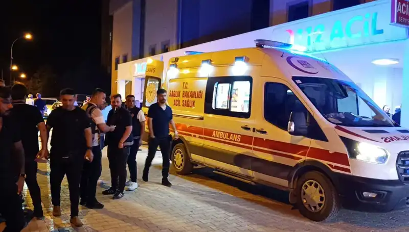 Kardeşini Kurtarmak İsterken Hayatını Kaybeden Genç: Olayın Ayrıntıları