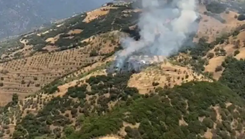 Aydın'da Zeytinlik Yangını, Tarım Arazileri Kayıplara Uğradı