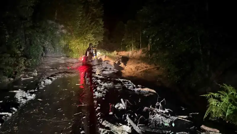 Rize'de Şiddetli Yağışlar Sonrası Sel Felaketi: Hayat ve Doğa Tehlikede!