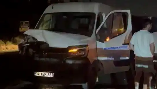 İstanbul'da Bam Teli Gibi Olay: Manda Kazası Üç Kişiyi Yaraladı