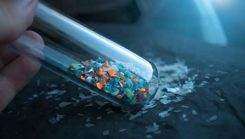 Mikroplastikler Beynimiz Üzerinde Hangi Tehditleri Barındırıyor?