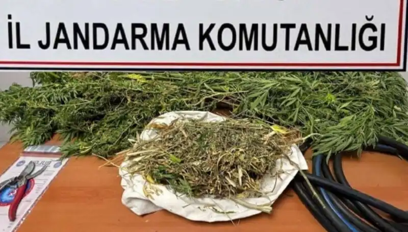 Niğde’de Şok Uyuşturucu Operasyonu: Yakalanan Şahıslarla İlgili Tüm Detaylar!
