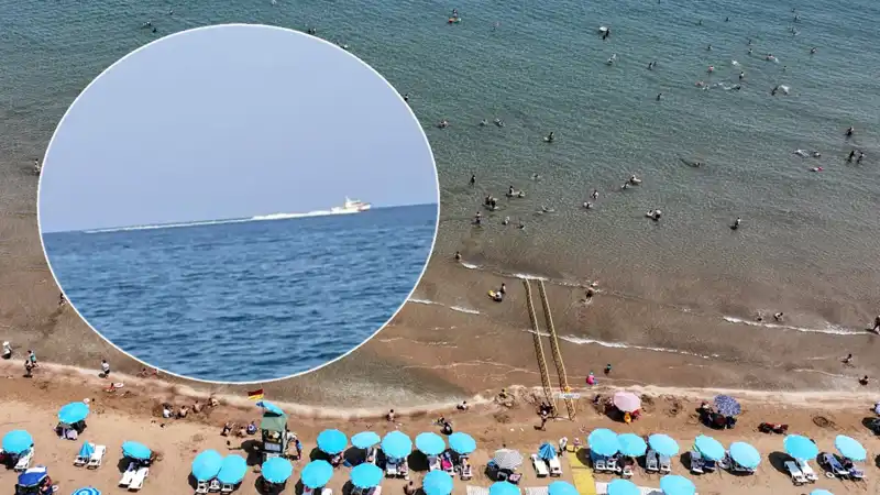 Plajda Köpek Balığı Korkusu: Sahil Boşaltıldı, Ama Gerçek Başka!