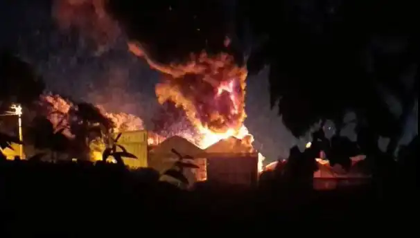 Çınarcık'ta Alevlerle Mücadele: Korkutan Yangın Vatandaşları Seyirci Bıraktı