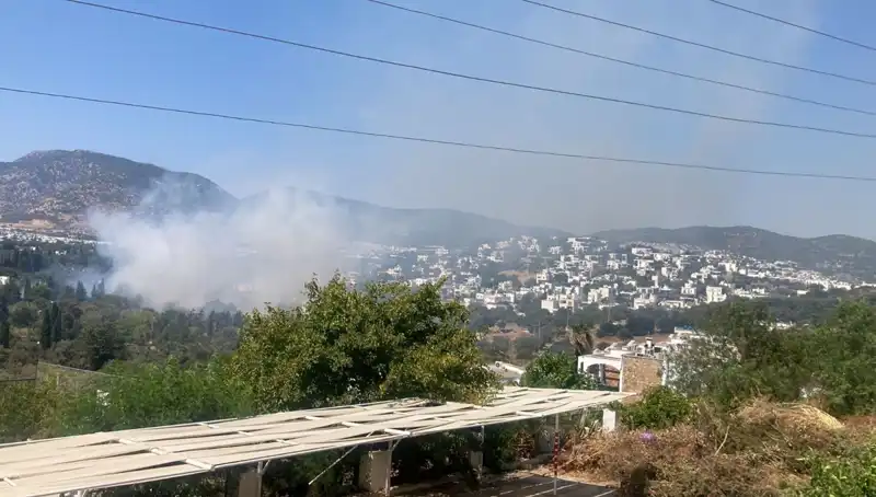 Muğla’daki Orman Yangınları Kontrol Altında: Doğa Yeniden Hayat Bulacak mı?