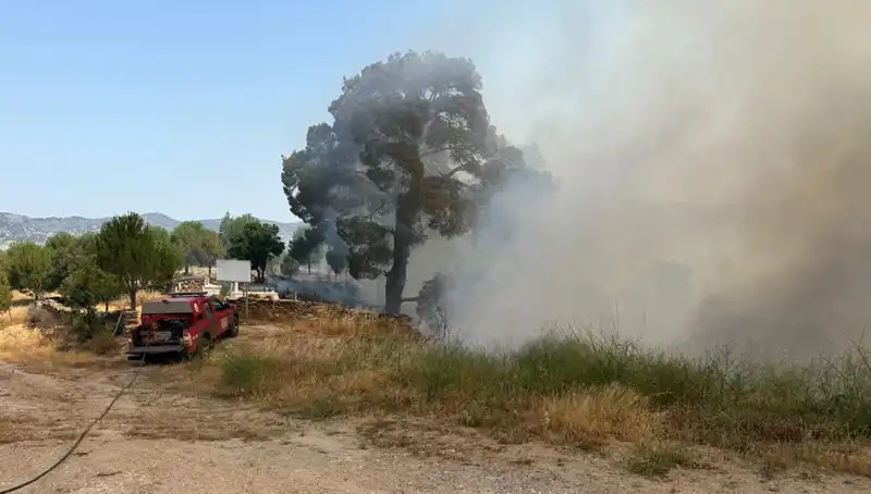 Muğla'da Orman Yangını: Doğa Efsanevi Bir Mücadele Veriyor