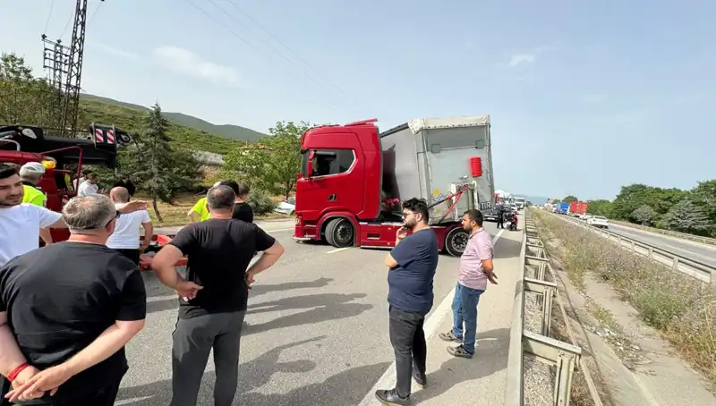 Seyir Halindeyken Arı Soktu: Trafik Kilitlendi, Araçlar Durma Noktasına Geldi!