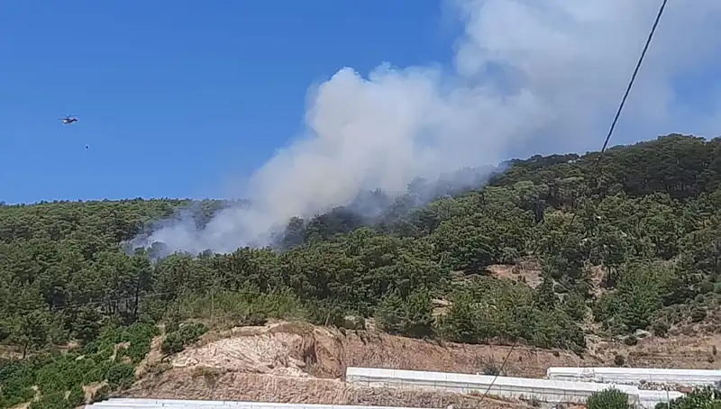 Kumluca’da Geniş Alanları Tehdit Eden Orman Yangını: Son Durum Nedir?