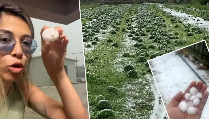 Antalya'yı Vuran Dolu ve Hortum: Gözyaşlarıyla Anlatılan Dram