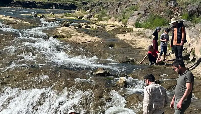 İnci Kefalinin Büyüleyici Göçü: Doğanın Şaheseri Turistleri Büyülüyor