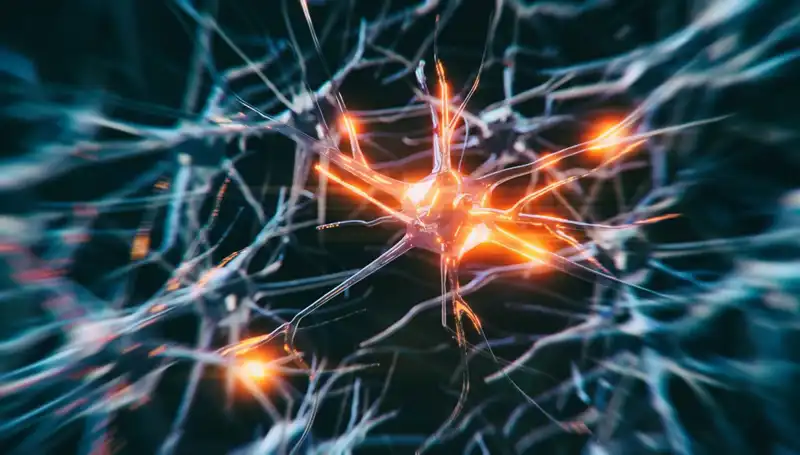 Alzheimer Vakalarında Endişe Verici Artışın Sebepleri Gözler Önüne Serildi