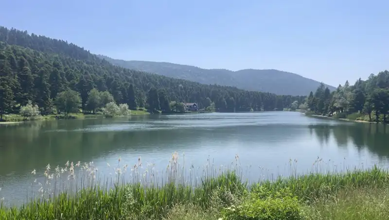 Bolu'nun Milli Parkları: Ziyaretçi Akını ile Doğanın Tadını Çıkarın!